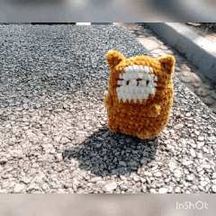 InShot_20250618_212541419.gif