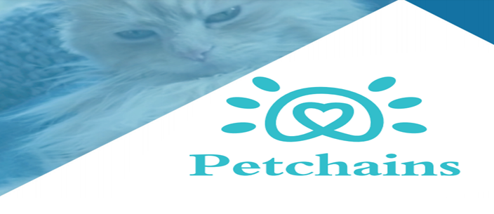 Image result for Bounty Petchains