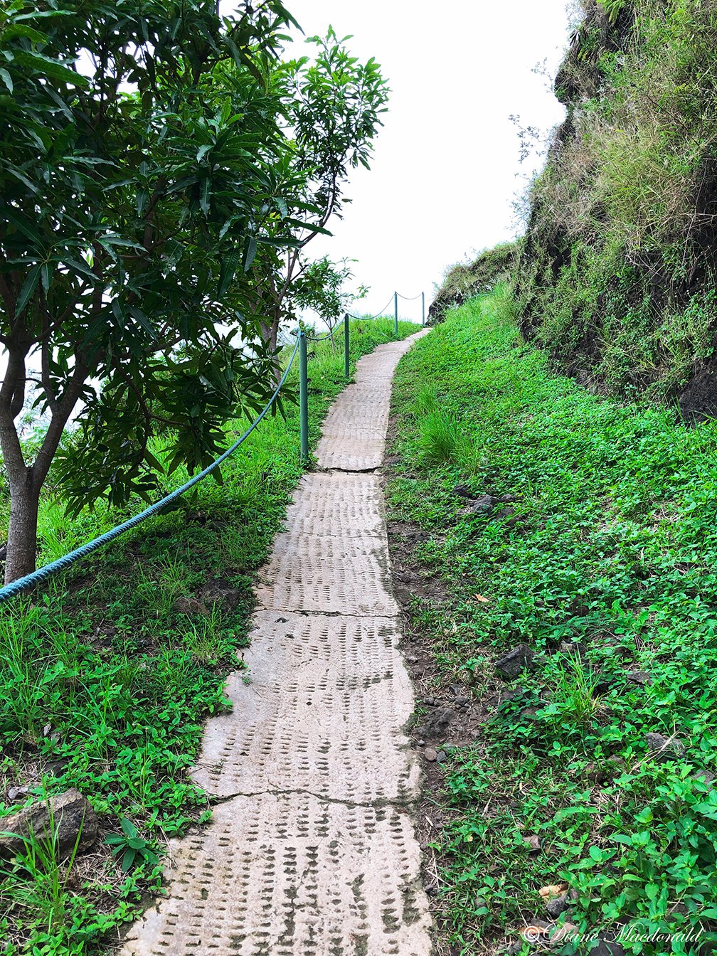 Magic Mountain Path.jpg