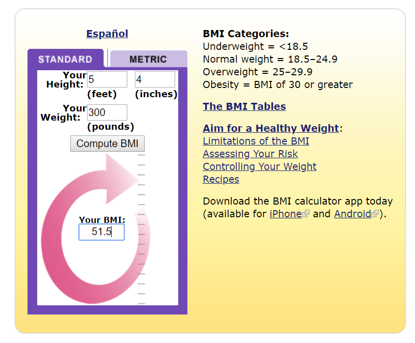 bmi calculation fitinfun.PNG