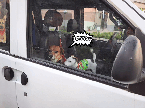 1000024875.gif