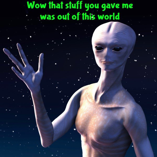 aleinhi_aien_high.jpg