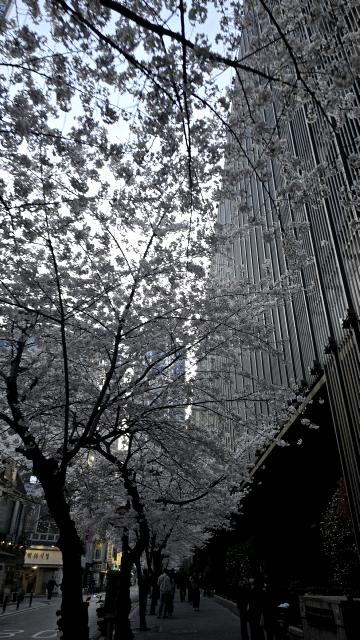 1000119302.gif