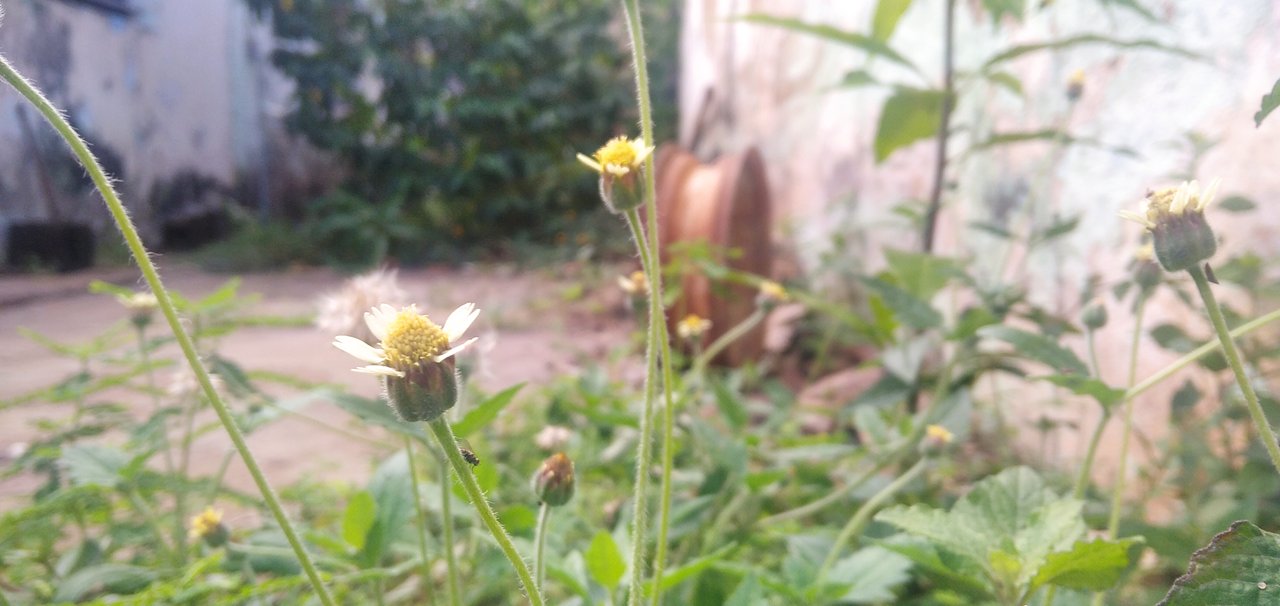 Fotografia Nro 3.jpg