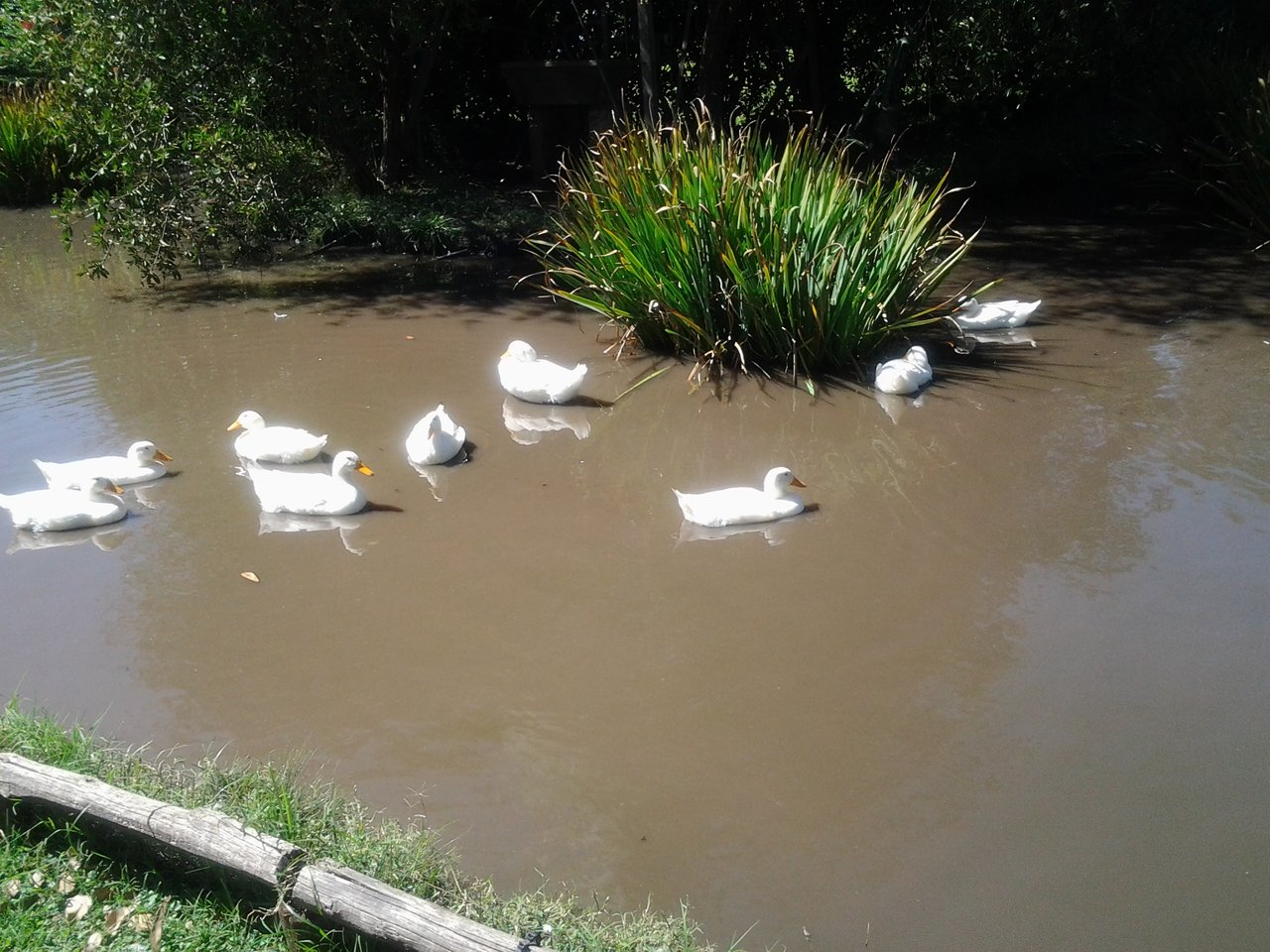 20140321_102612.jpg
