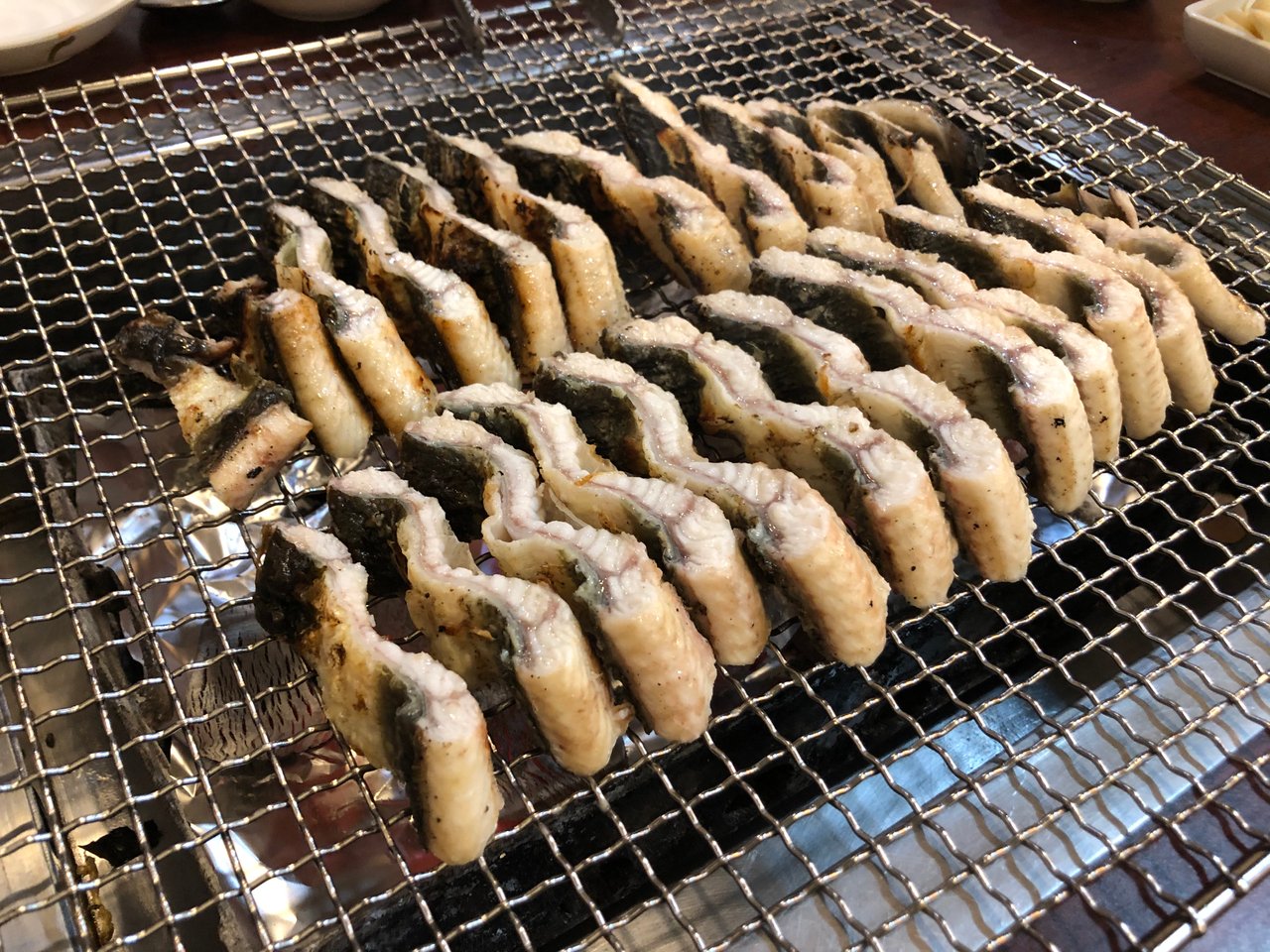 IMG_1739.jpeg