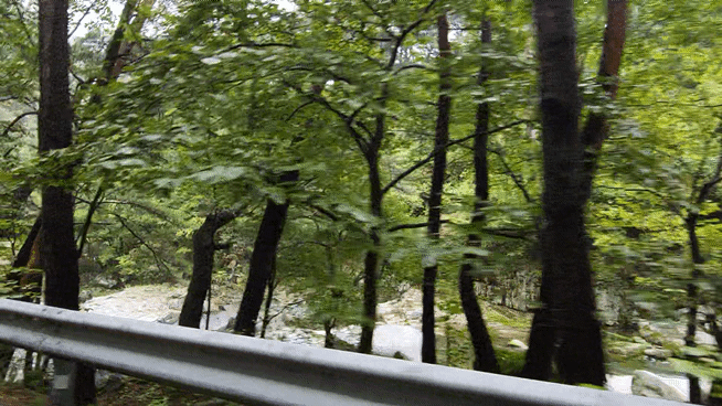 KakaoTalk_20251006_171223971_17.gif