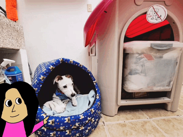 1000028924.gif
