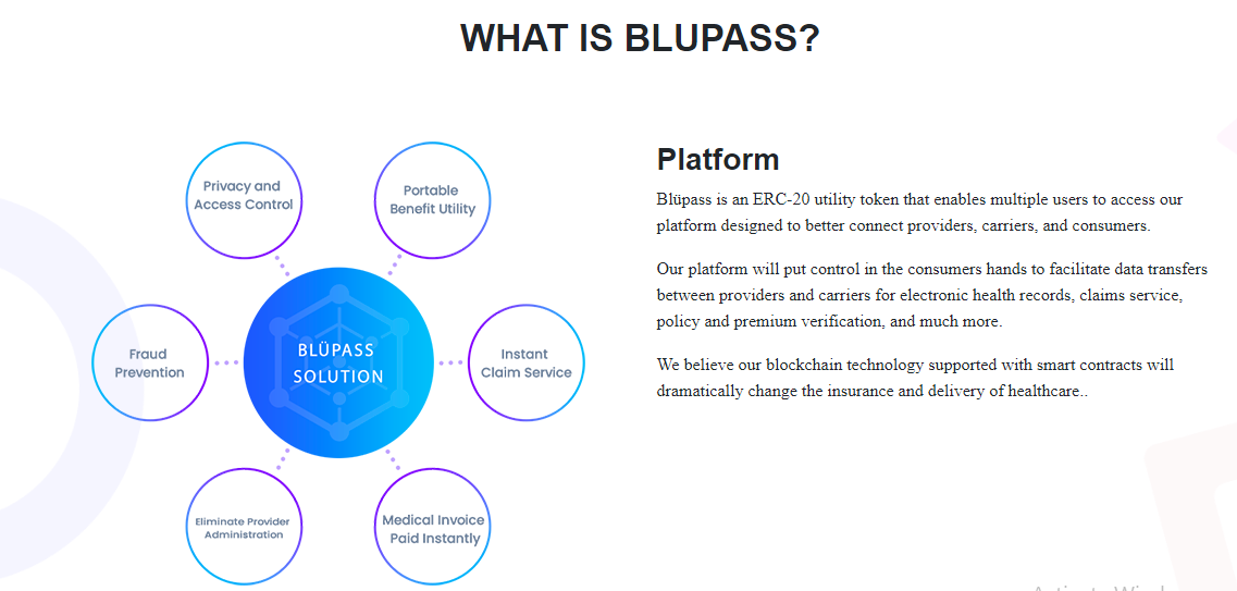 blupass what blupass is.png