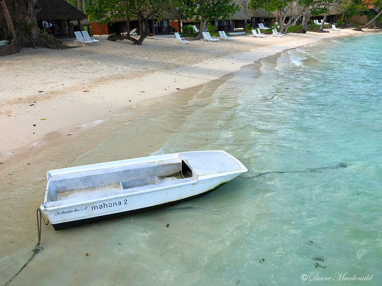 glass bottom boat huahine.jpg