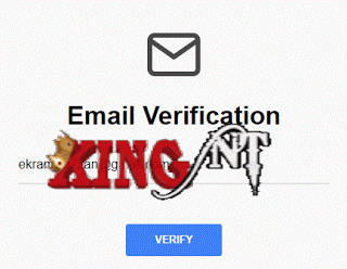 Email Verification.gif