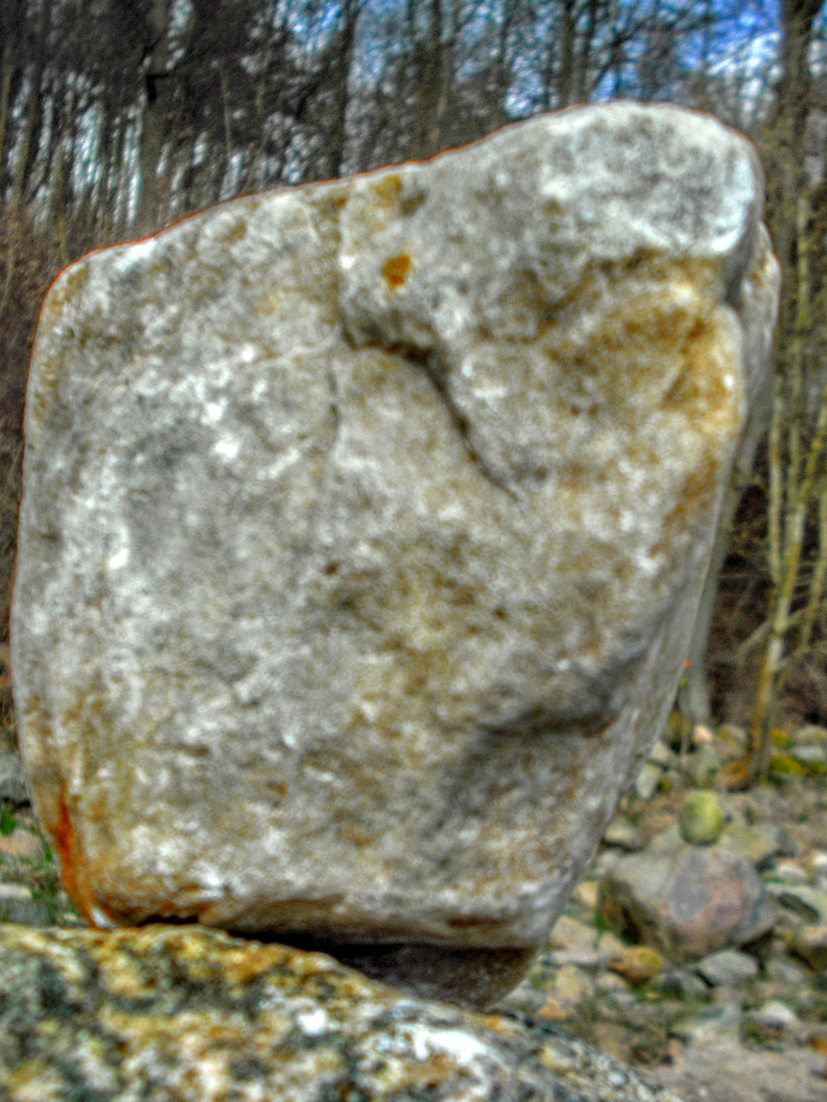 DSCF3664.jpg
