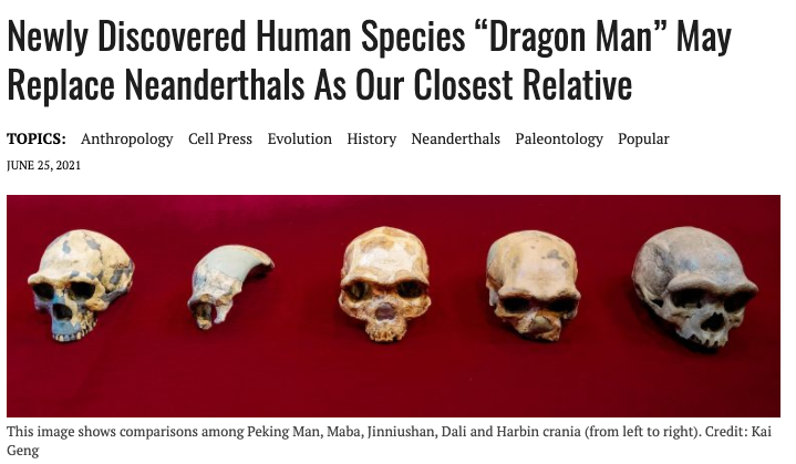 Skull Fossil Stories Chinas 90 Years Hidden Dragon Man Skull And Isreal Finds Skull And Now Claim To Be Neanderthals Too