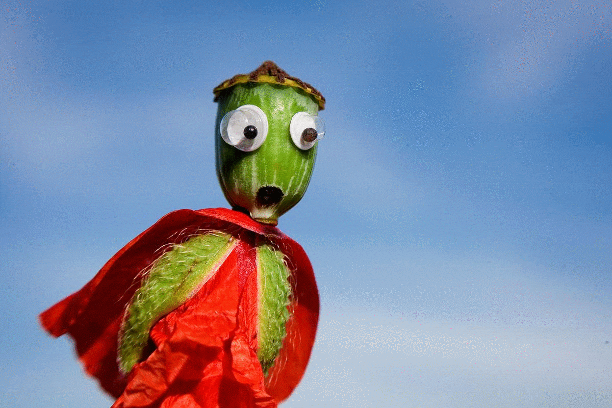 Poppy Puppet #GooglyEyes close-up macro animation by @fraenk