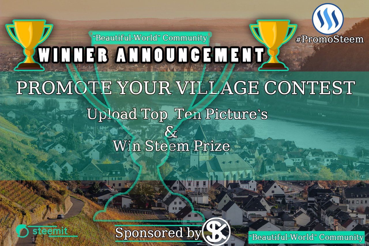 Promote Village Winner.jpg