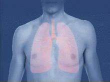 220px-Asthma_attack-airway_(bronchiole)_constriction-animated.gif