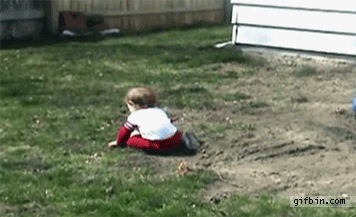 Baby bowled over by dogs.gif