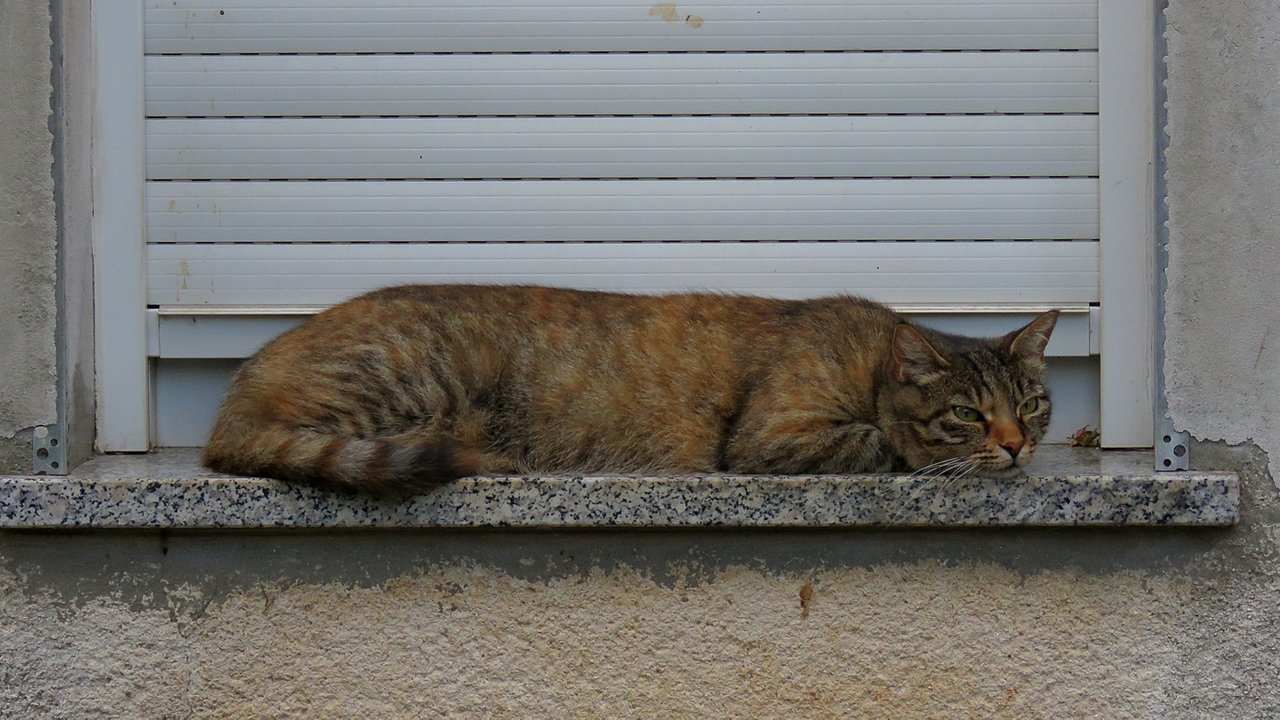 IMG_5258 malo.jpg