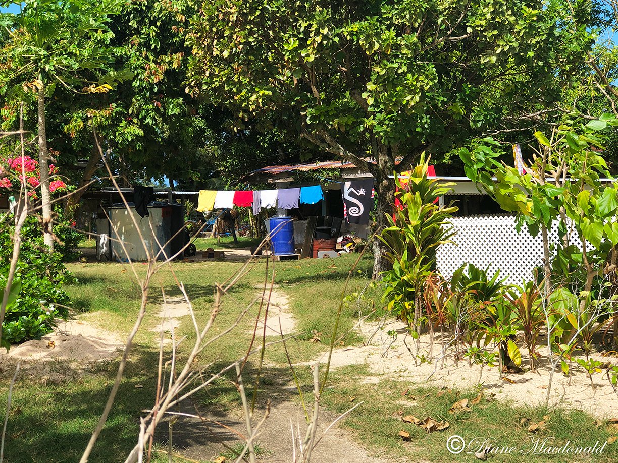 washing on line parea huahine.jpg