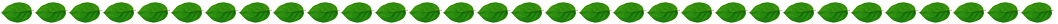 leaves-1.png