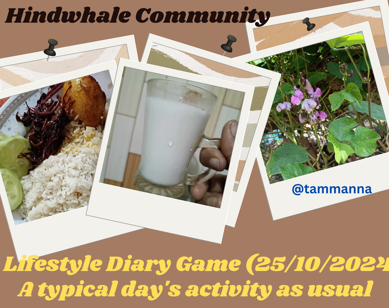 Lifestyle Diary Game (25102024) -.png