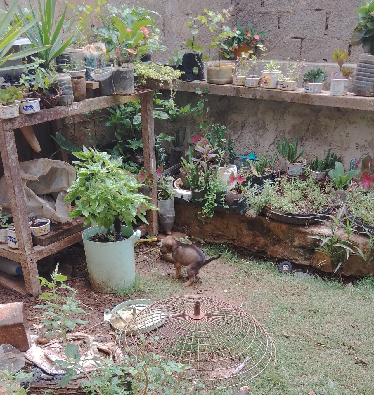 IMG-20210830-WA0037.jpeg