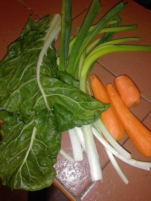 PHOTO_20210904_124730.jpg