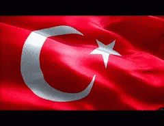 TurkeyFlagTurkishGIF.gif