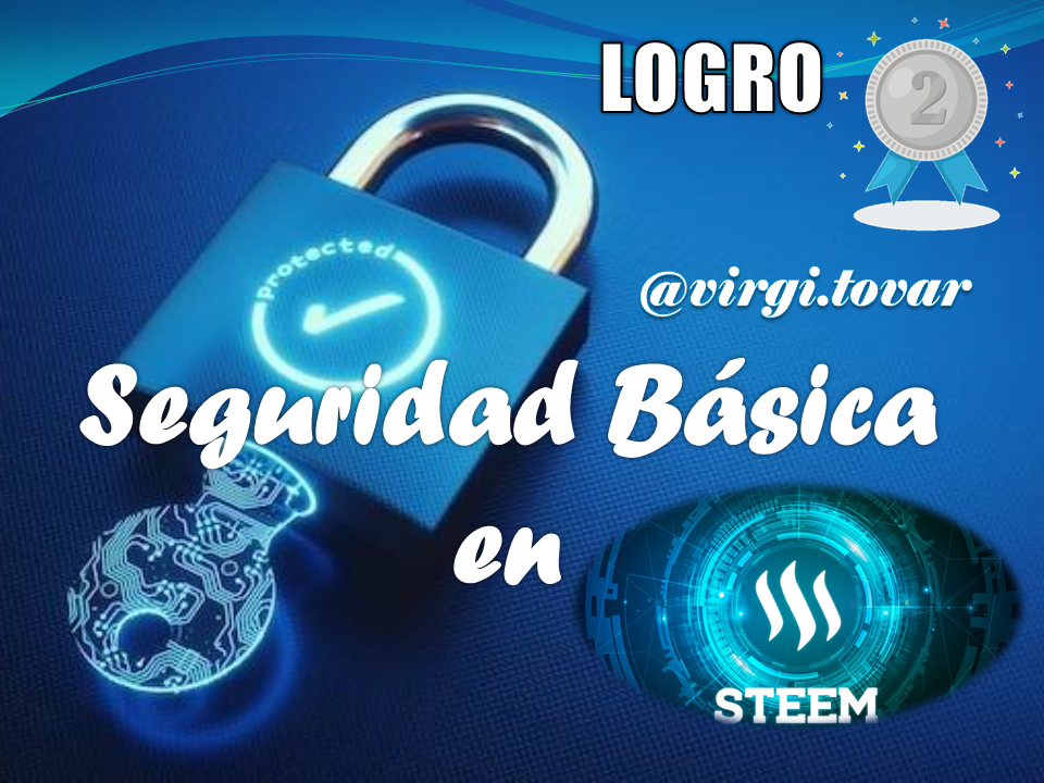 seguridad basica.png