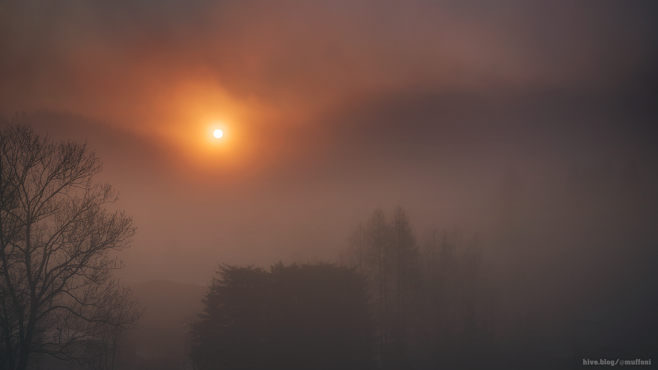 _IMG7753m.png