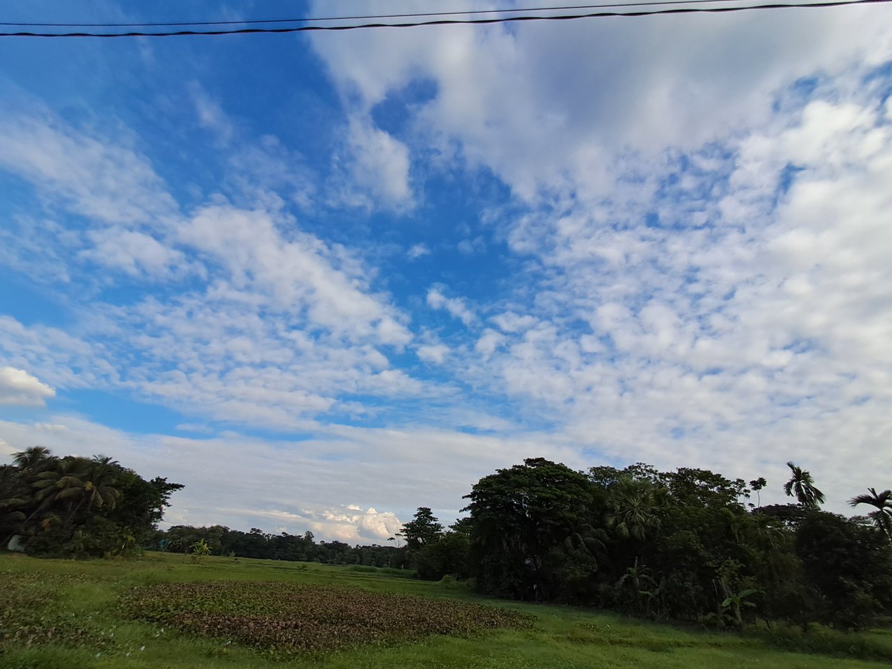 20241110_145546.jpg