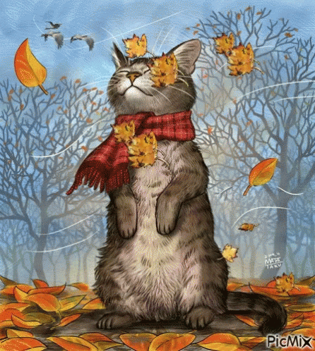 FallWeatherAutumnGIF.gif