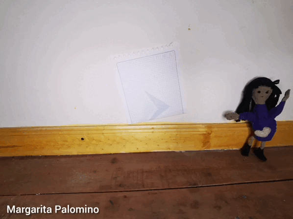 InShot_20220808_231148296 (1).gif
