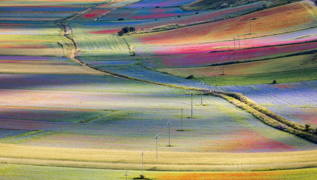 Zcastelluccio-di-norcia-fiorita.jpg