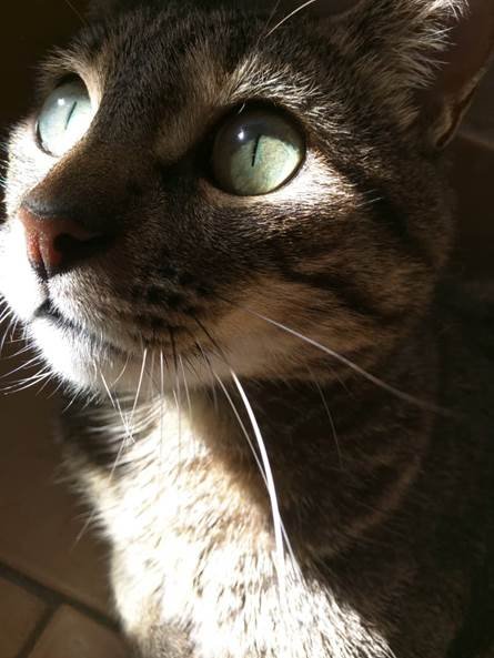 Mimi.jpg