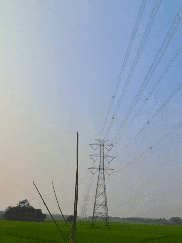 1000021011.gif