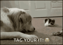tag you're it.gif