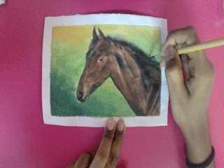 horse gif 5 painting hair.gif