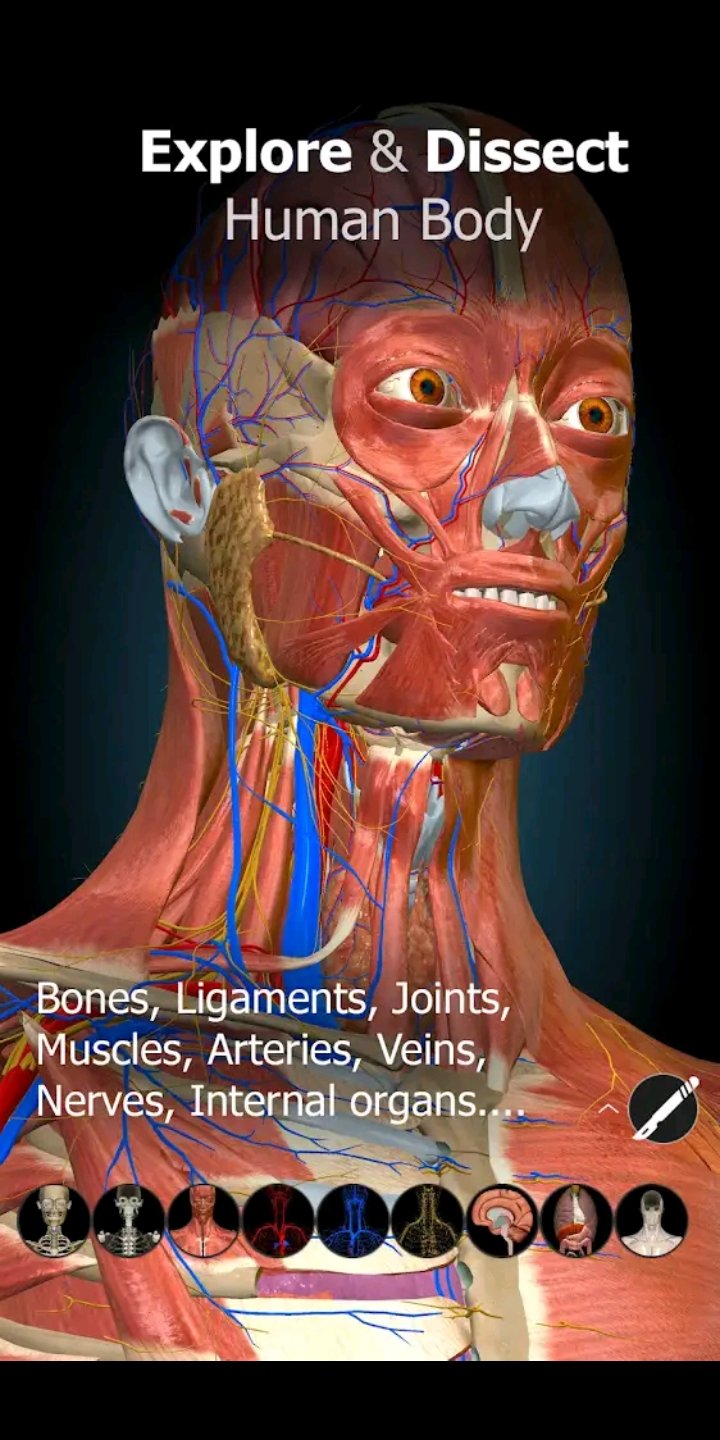 Steemhunt: anatomy application.