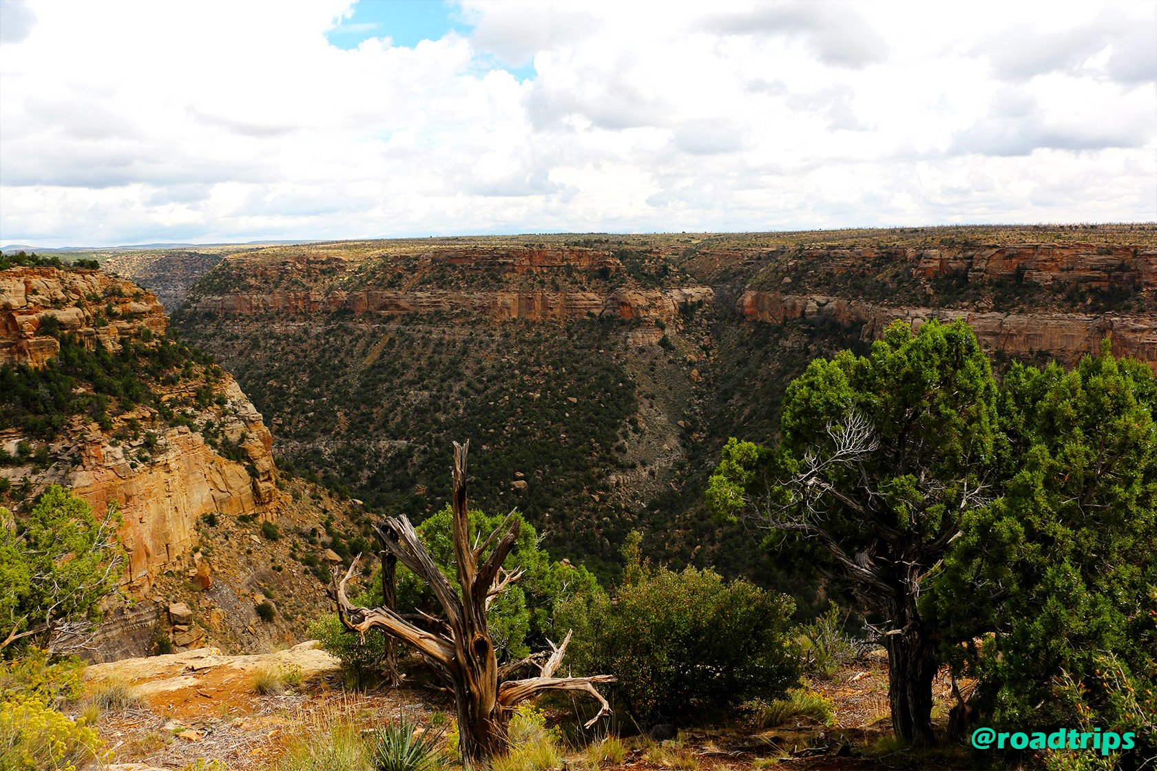 MesaVerde_5.jpg