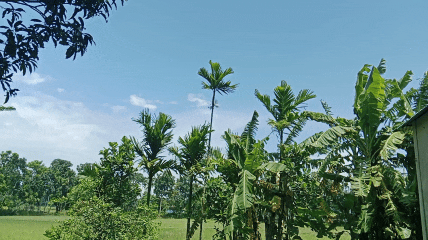 1000373046.gif
