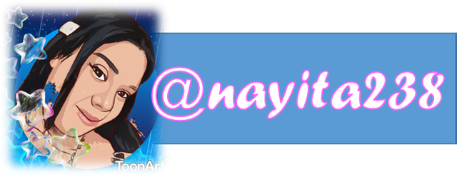 Firma Nayita238    1.png