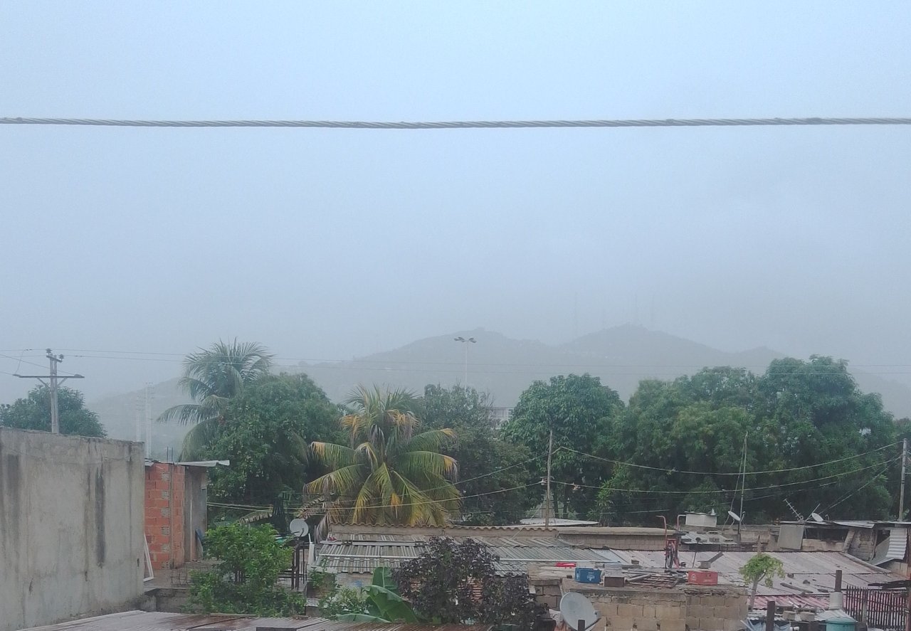 IMG-20210830-WA0074.jpeg