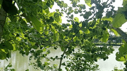 1000373077.gif