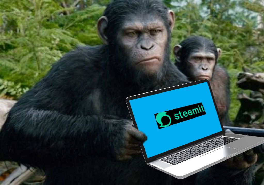 olo1.jpg