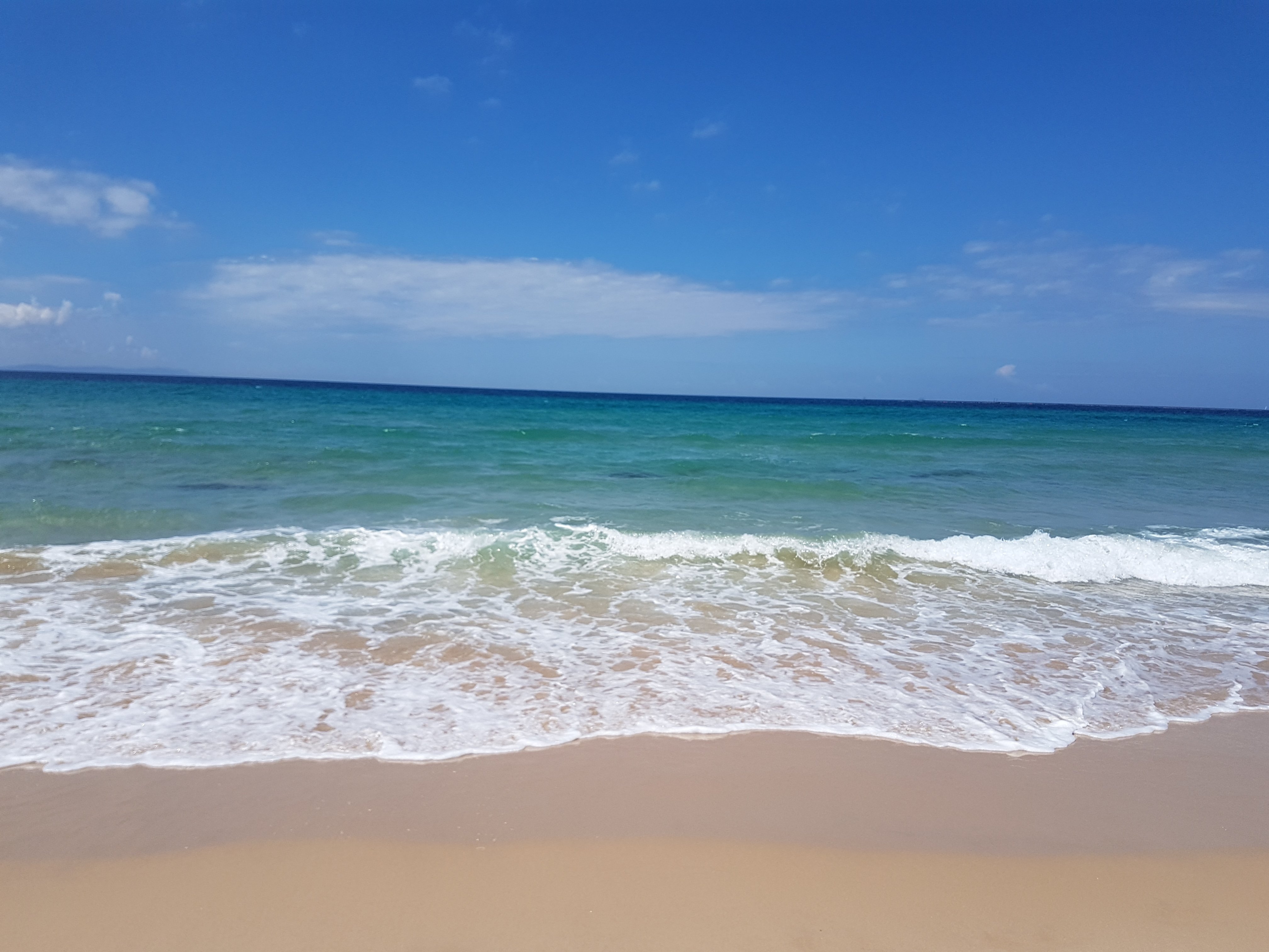 20180527_130257.jpg