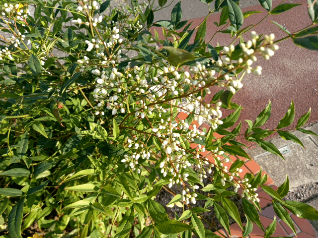 20250705_165716.gif
