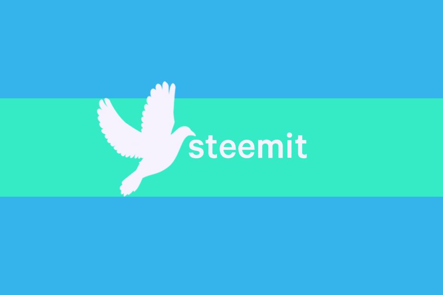 Steemit Flag back Side.jpg