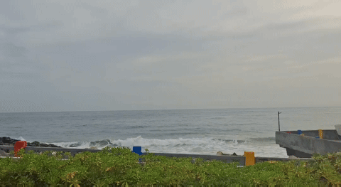 1000213811.gif