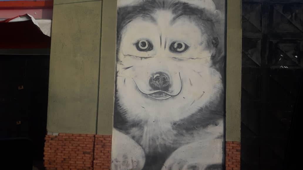 Graffiti Perro 1.jpg